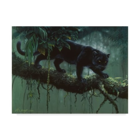 Harro Maass 'Black Jaguar Stalking' Canvas Art,35x47